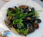 Mussels at Waterfront1.jpg
